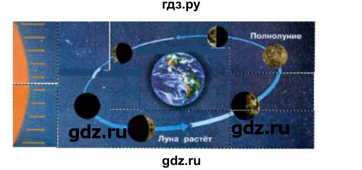 ГДЗ по окружающему миру 2 класс Плешаков рабочая тетрадь  часть 1. страница - 18, Решебник 2017