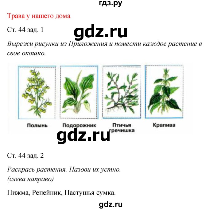 ГДЗ по окружающему миру 2 класс Плешаков рабочая тетрадь  часть 1. страница - 44, Решебник 2017