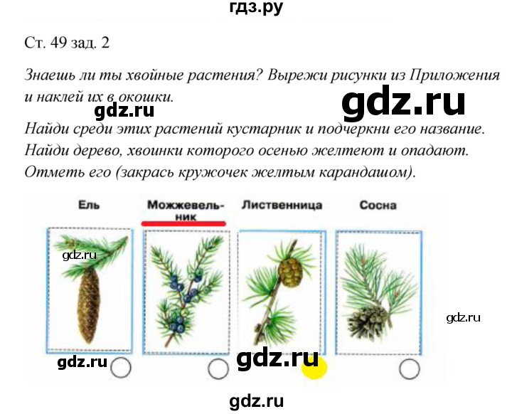 ГДЗ по окружающему миру 2 класс Плешаков рабочая тетрадь  часть 1. страница - 49, Решебник 2017