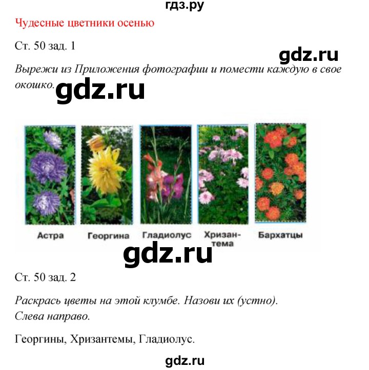 ГДЗ по окружающему миру 2 класс Плешаков рабочая тетрадь  часть 1. страница - 50, Решебник 2017