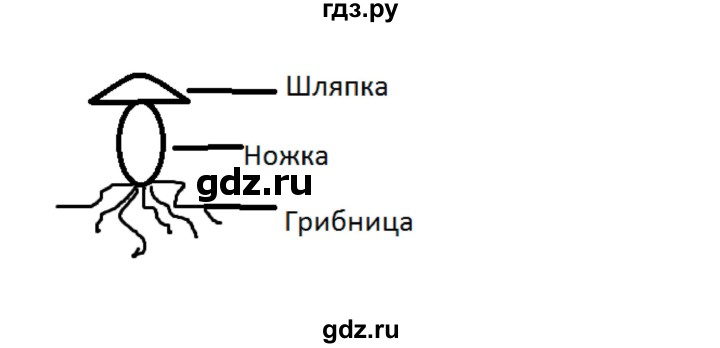 ГДЗ по окружающему миру 2 класс Плешаков рабочая тетрадь  часть 1. страница - 52, Решебник 2017