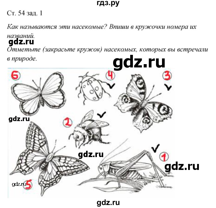 ГДЗ по окружающему миру 2 класс Плешаков рабочая тетрадь  часть 1. страница - 54, Решебник 2017