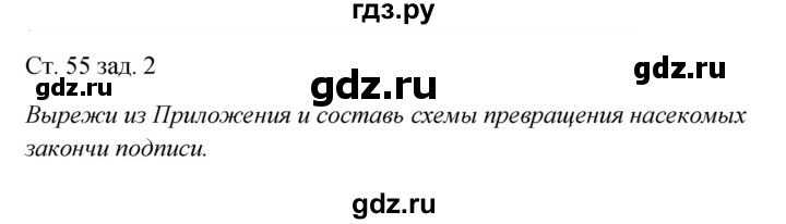 ГДЗ по окружающему миру 2 класс Плешаков рабочая тетрадь  часть 1. страница - 55, Решебник 2017