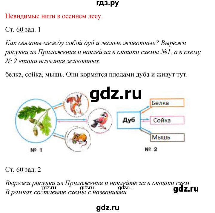 ГДЗ по окружающему миру 2 класс Плешаков рабочая тетрадь  часть 1. страница - 60, Решебник 2017