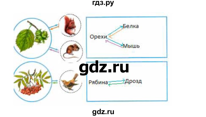 ГДЗ по окружающему миру 2 класс Плешаков рабочая тетрадь  часть 1. страница - 60, Решебник 2017