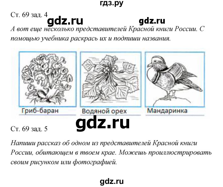 ГДЗ по окружающему миру 2 класс Плешаков рабочая тетрадь  часть 1. страница - 69, Решебник 2017