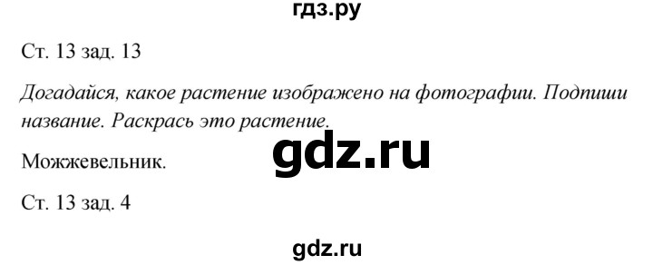 ГДЗ по окружающему миру 2 класс Плешаков рабочая тетрадь  часть 2. страница - 13, Решебник 2017