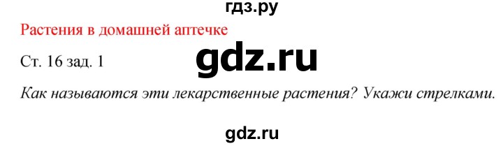 ГДЗ по окружающему миру 2 класс Плешаков рабочая тетрадь  часть 2. страница - 16, Решебник 2017