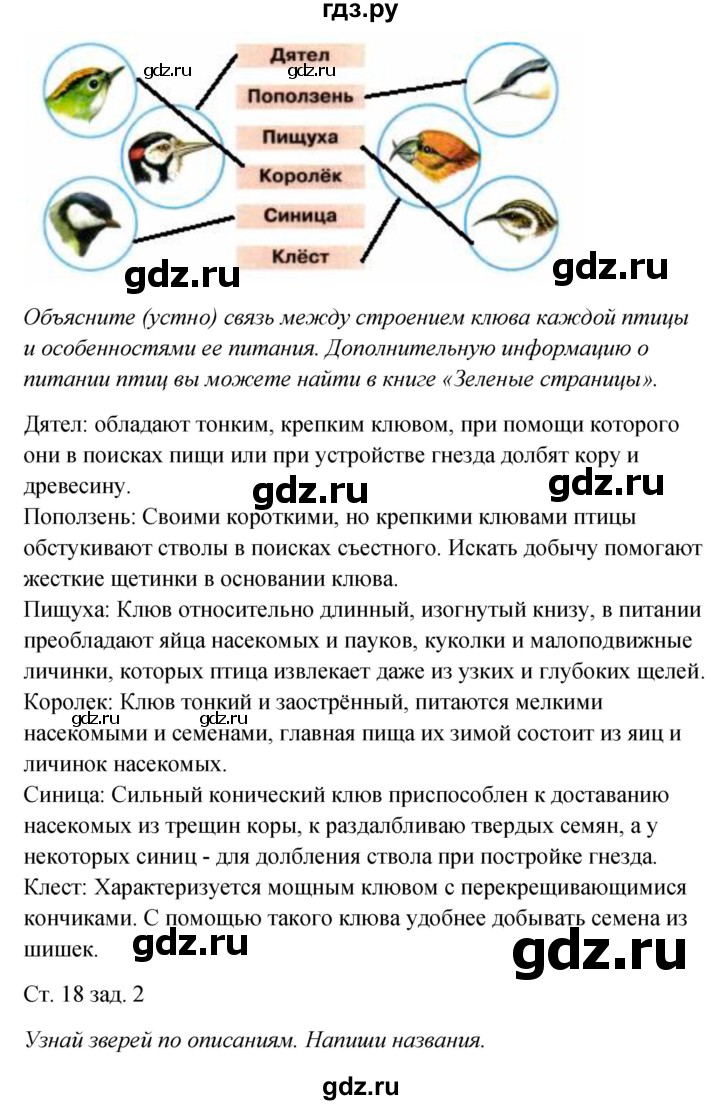 ГДЗ по окружающему миру 2 класс Плешаков рабочая тетрадь  часть 2. страница - 18, Решебник 2017