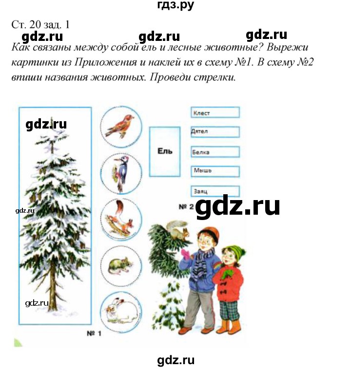 ГДЗ по окружающему миру 2 класс Плешаков рабочая тетрадь  часть 2. страница - 20, Решебник 2017