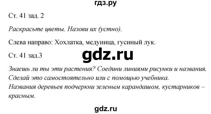 ГДЗ по окружающему миру 2 класс Плешаков рабочая тетрадь  часть 2. страница - 41, Решебник 2017