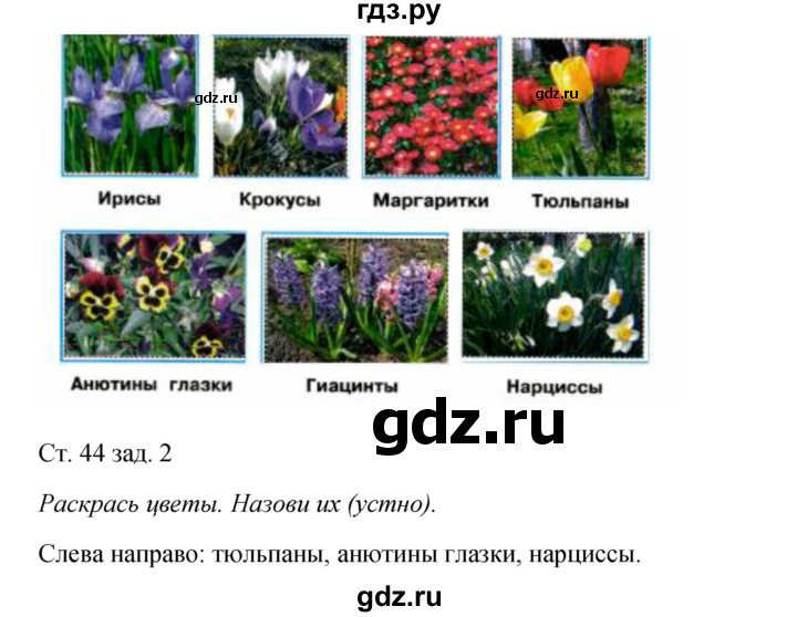 ГДЗ по окружающему миру 2 класс Плешаков рабочая тетрадь  часть 2. страница - 44, Решебник 2017