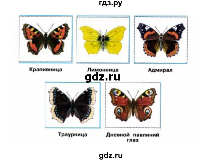 ГДЗ по окружающему миру 2 класс Плешаков рабочая тетрадь  часть 2. страница - 46, Решебник 2017