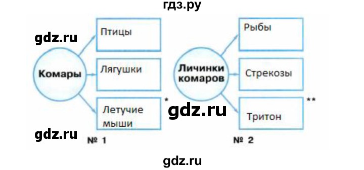 ГДЗ по окружающему миру 2 класс Плешаков рабочая тетрадь  часть 2. страница - 47, Решебник 2017