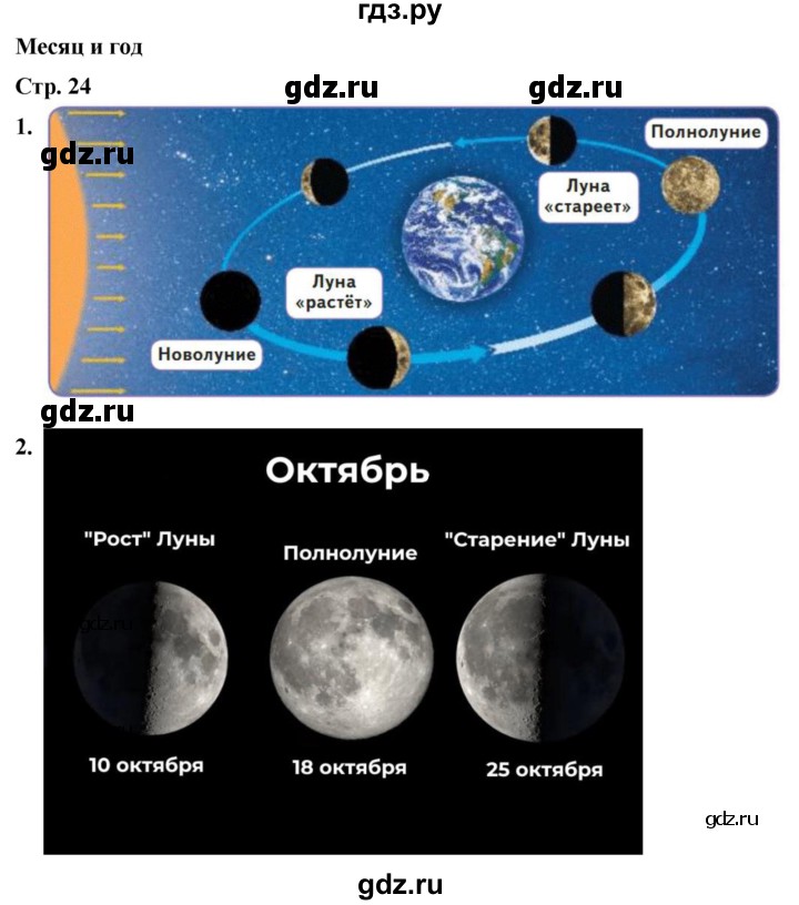 ГДЗ по окружающему миру 2 класс Плешаков рабочая тетрадь  часть 1. страница - 24, Решебник 2023