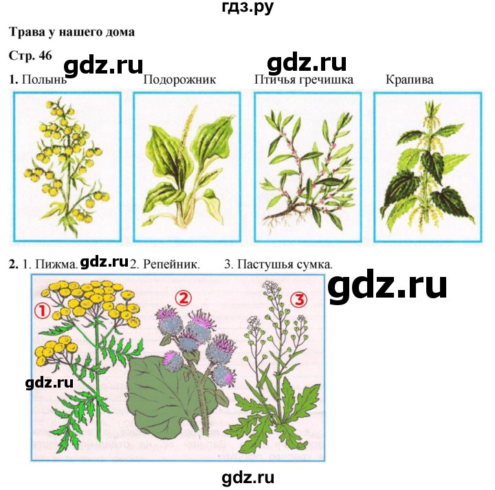 ГДЗ по окружающему миру 2 класс Плешаков рабочая тетрадь  часть 1. страница - 46, Решебник 2023