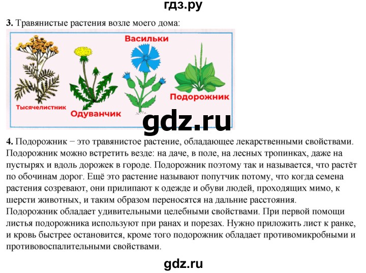 ГДЗ по окружающему миру 2 класс Плешаков рабочая тетрадь  часть 1. страница - 47, Решебник 2023