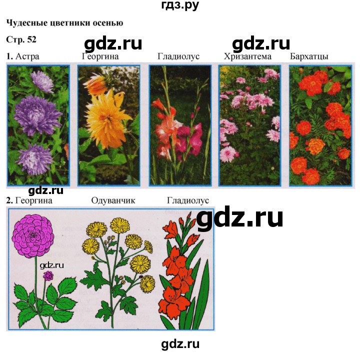 ГДЗ по окружающему миру 2 класс Плешаков рабочая тетрадь  часть 1. страница - 52, Решебник 2023