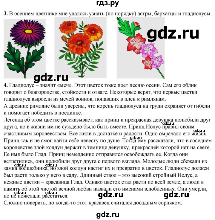 ГДЗ по окружающему миру 2 класс Плешаков рабочая тетрадь  часть 1. страница - 53, Решебник 2023