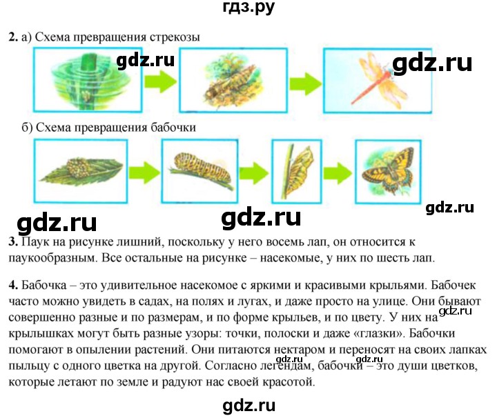 ГДЗ по окружающему миру 2 класс Плешаков рабочая тетрадь  часть 1. страница - 55, Решебник 2023