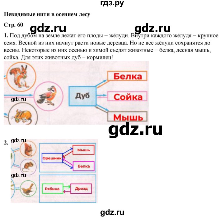 ГДЗ по окружающему миру 2 класс Плешаков рабочая тетрадь  часть 1. страница - 60, Решебник 2023