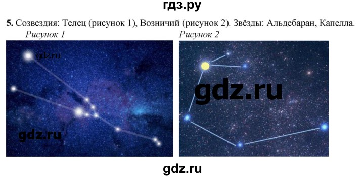 ГДЗ по окружающему миру 2 класс Плешаков рабочая тетрадь  часть 2. страница - 11, Решебник 2023