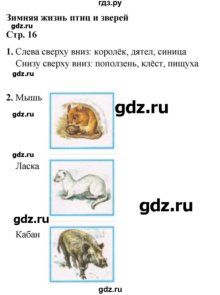 ГДЗ по окружающему миру 2 класс Плешаков рабочая тетрадь  часть 2. страница - 16, Решебник 2023