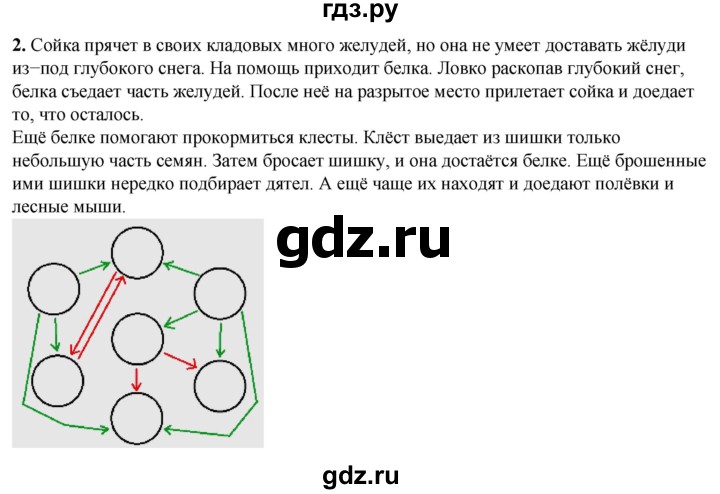 ГДЗ по окружающему миру 2 класс Плешаков рабочая тетрадь  часть 2. страница - 19, Решебник 2023