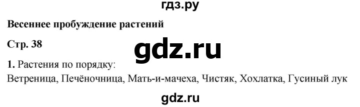 ГДЗ по окружающему миру 2 класс Плешаков рабочая тетрадь  часть 2. страница - 38, Решебник 2023