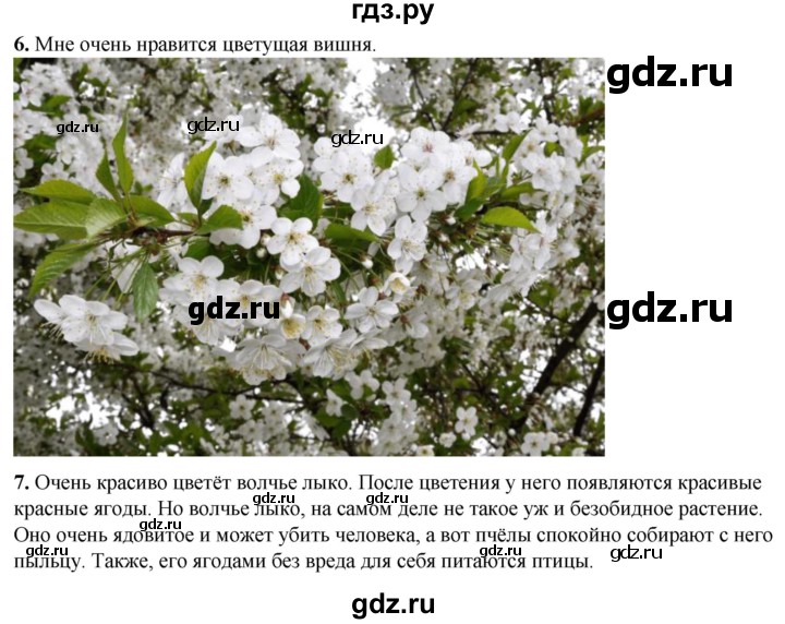 ГДЗ по окружающему миру 2 класс Плешаков рабочая тетрадь  часть 2. страница - 41, Решебник 2023