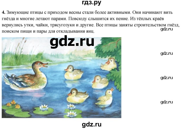 ГДЗ по окружающему миру 2 класс Плешаков рабочая тетрадь  часть 2. страница - 47, Решебник 2023