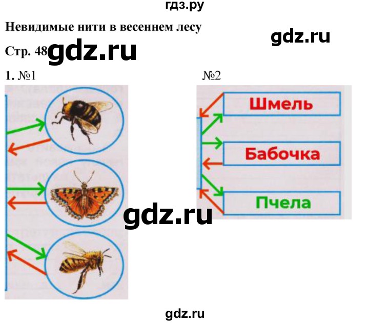ГДЗ по окружающему миру 2 класс Плешаков рабочая тетрадь  часть 2. страница - 48, Решебник 2023