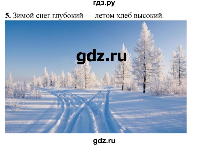 ГДЗ по окружающему миру 2 класс Плешаков рабочая тетрадь  часть 2. страница - 5, Решебник 2023