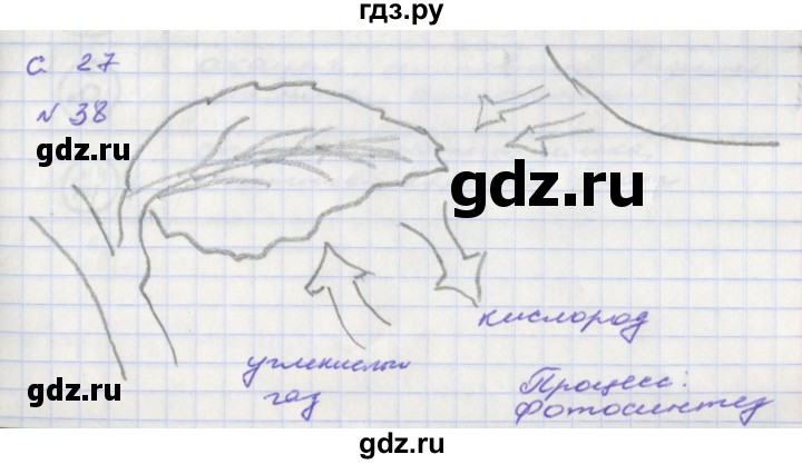 ГДЗ по окружающему миру 2 класс Федотова тетрадь для самостоятельной работы  часть 1 (страница) - 27, Решебник