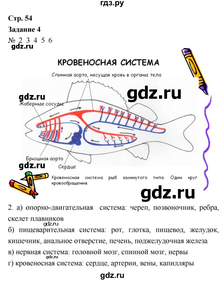 ГДЗ по биологии 7 класс Сухова рабочая тетрадь  часть 1 (страница) - 54, Решебник