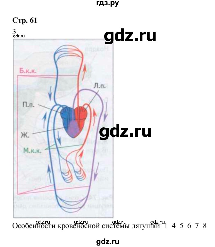 ГДЗ по биологии 7 класс Сухова рабочая тетрадь  часть 1 (страница) - 61, Решебник