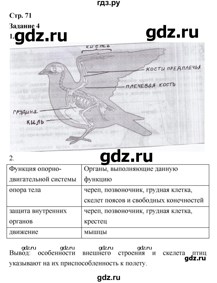 ГДЗ по биологии 7 класс Сухова рабочая тетрадь  часть 1 (страница) - 71, Решебник