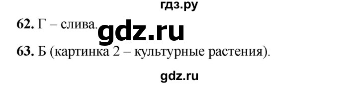 ГДЗ по окружающему миру 2 класс Плешаков тесты  страница - 25, Решебник 2023