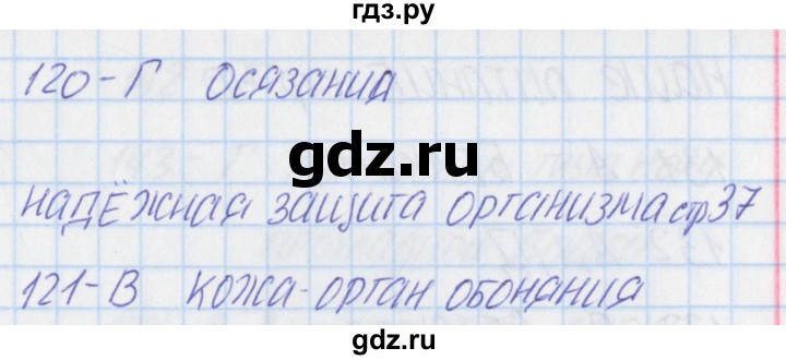 ГДЗ по окружающему миру 3 класс Плешаков тесты  страница - 37, Решебник 2018