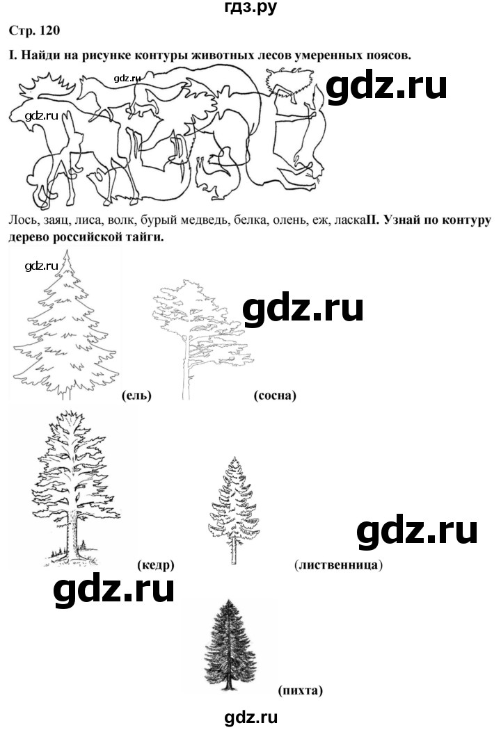 ГДЗ по географии 6 класс Летягин   страница - 120, Решебник 2023
