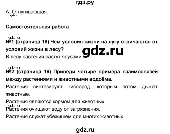 ГДЗ по окружающему миру 4 класс  Потапов тесты и самостоятельные работы для текущего контроля (Ивченкова)  страница - 19, Решебник №1