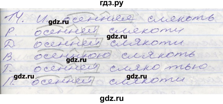 ГДЗ по русскому языку 5 класс Бабайцева рабочая тетрадь Углубленный уровень задание - 14, Решебник