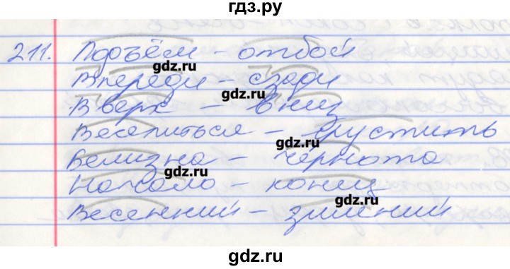 ГДЗ по русскому языку 5 класс Бабайцева рабочая тетрадь Углубленный уровень задание - 211, Решебник