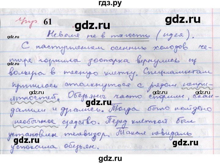 ГДЗ по русскому языку 6 класс Ларионова рабочая тетрадь (Разумовская)  упражнение - 61, Решебник к тетради 2023