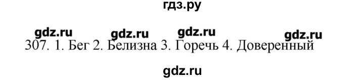 ГДЗ по русскому языку 10‐11 класс Бабайцева  Углубленный уровень упражнение - 307, Решебник