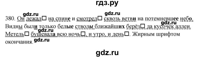 ГДЗ по русскому языку 10‐11 класс Бабайцева  Углубленный уровень упражнение - 380, Решебник