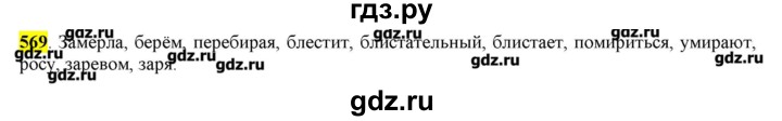 ГДЗ по русскому языку 10‐11 класс Бабайцева  Углубленный уровень упражнение - 569, Решебник