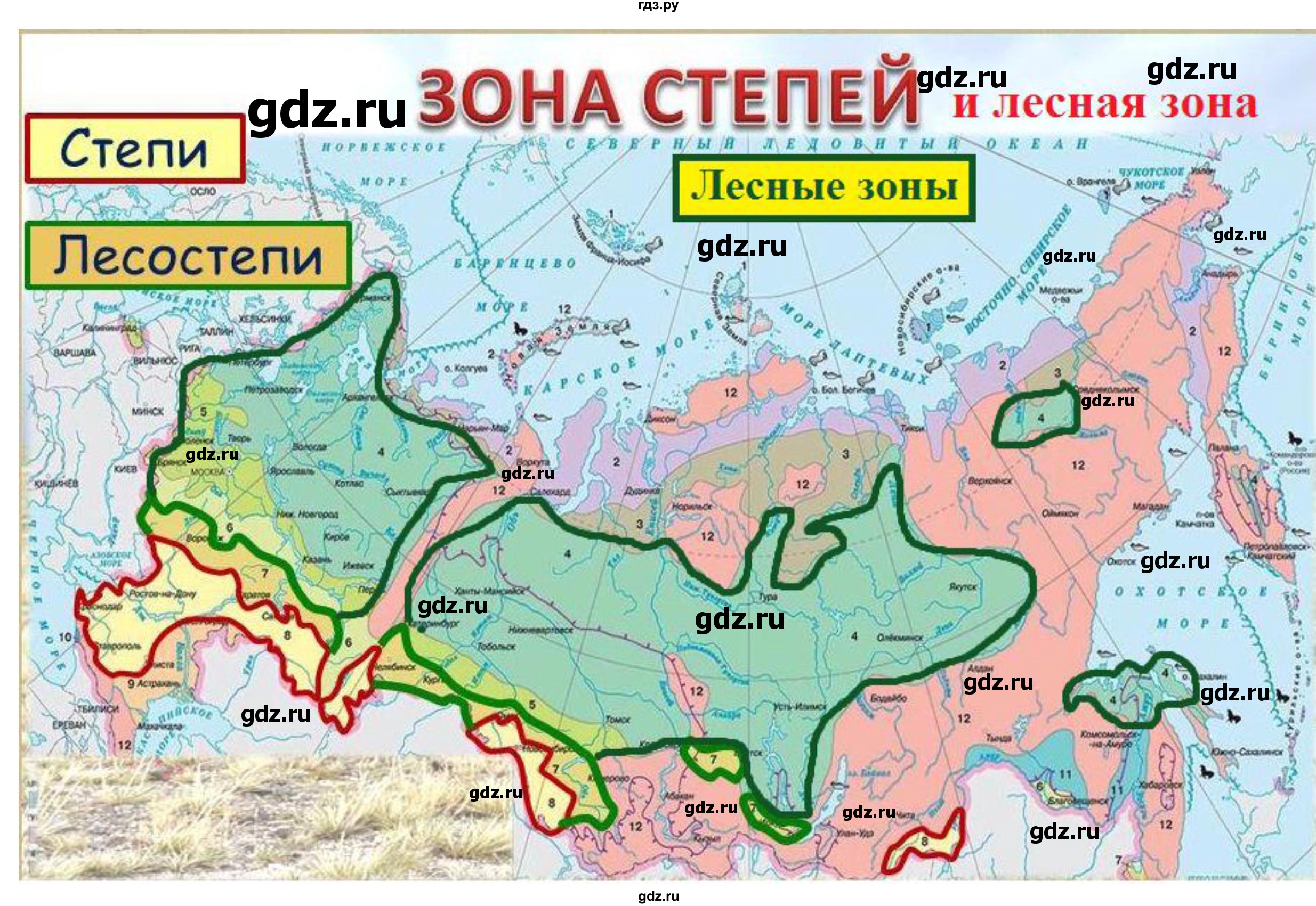 ГДЗ по географии 5 класс  Летягин   страница - 137, Решебник №1 2016