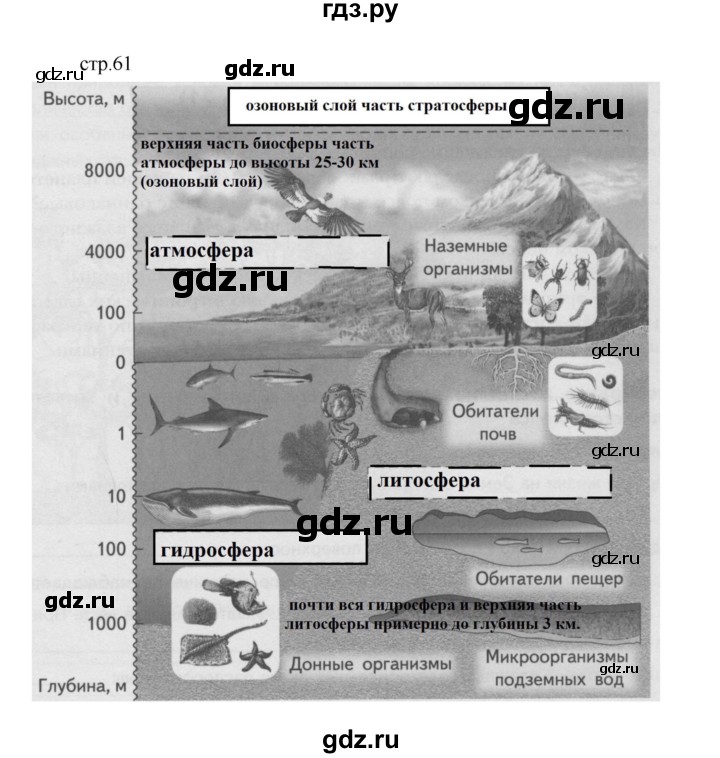 ГДЗ по географии 5 класс Летягин Дневник географа-следопыта  страница - 61, Решебник №1 2017