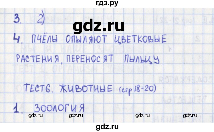 ГДЗ по окружающему миру 3 класс Глаголева контрольно-измерительные материалы  страница - 18, Решебник 2017 г.